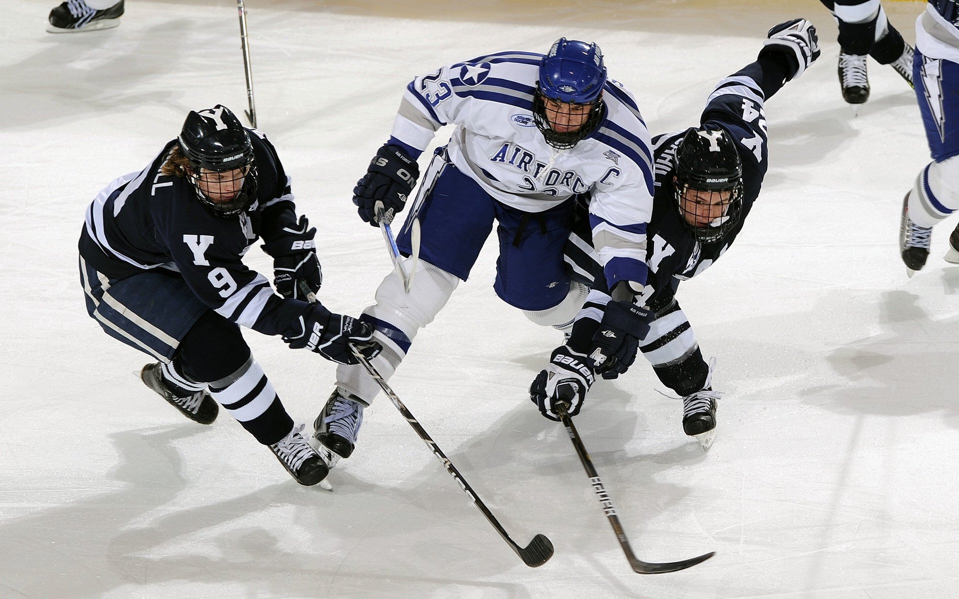 “马丁·高尔西的快速成长，助阿根廷美洲狮队稳步前行”