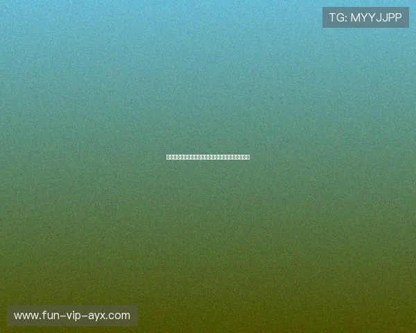 汉堡客战奥格斯堡：球队动态全解析，战术布局与前瞻