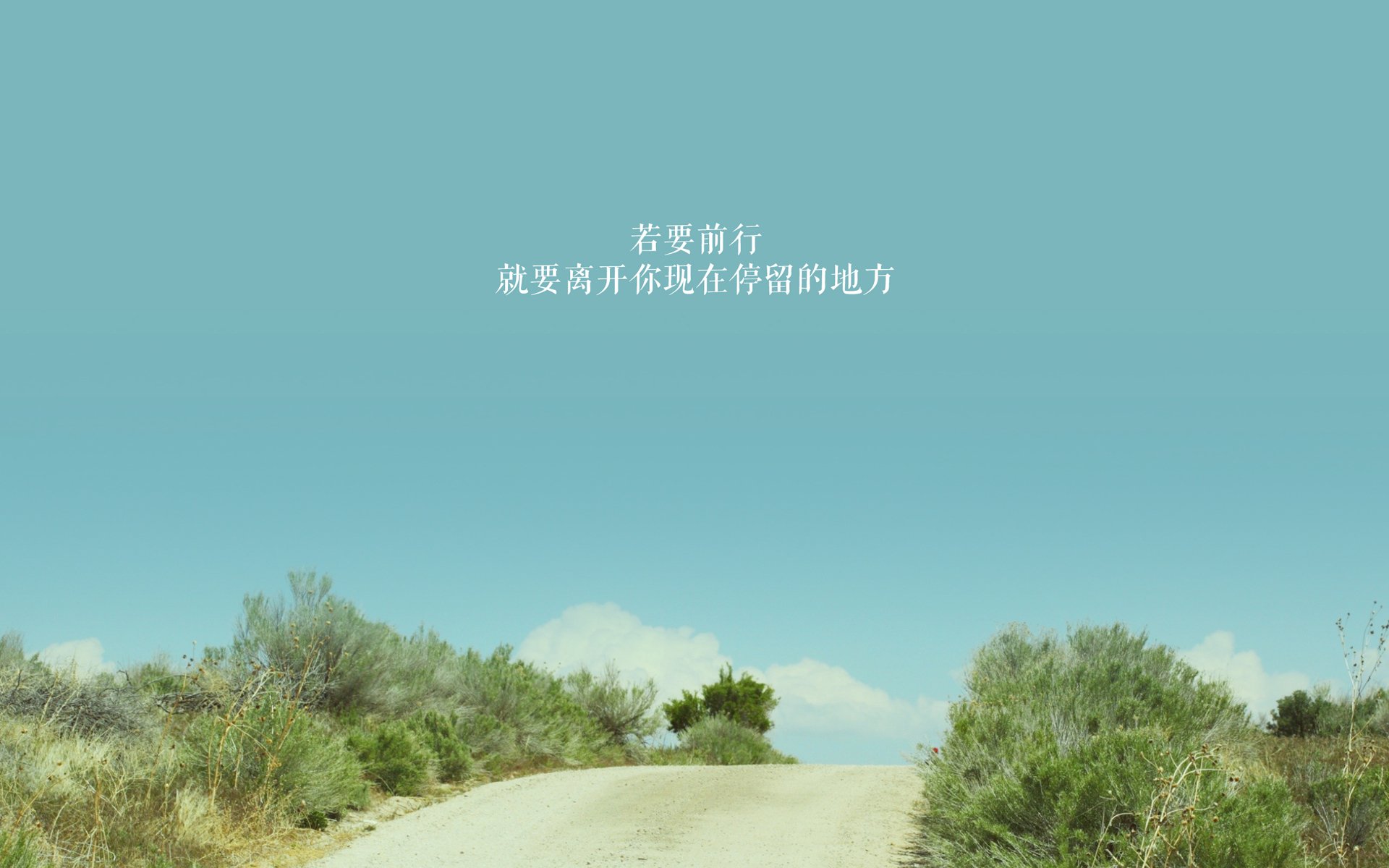 体育赛事环境管理标准执行情况调研，体育赛事管理制度