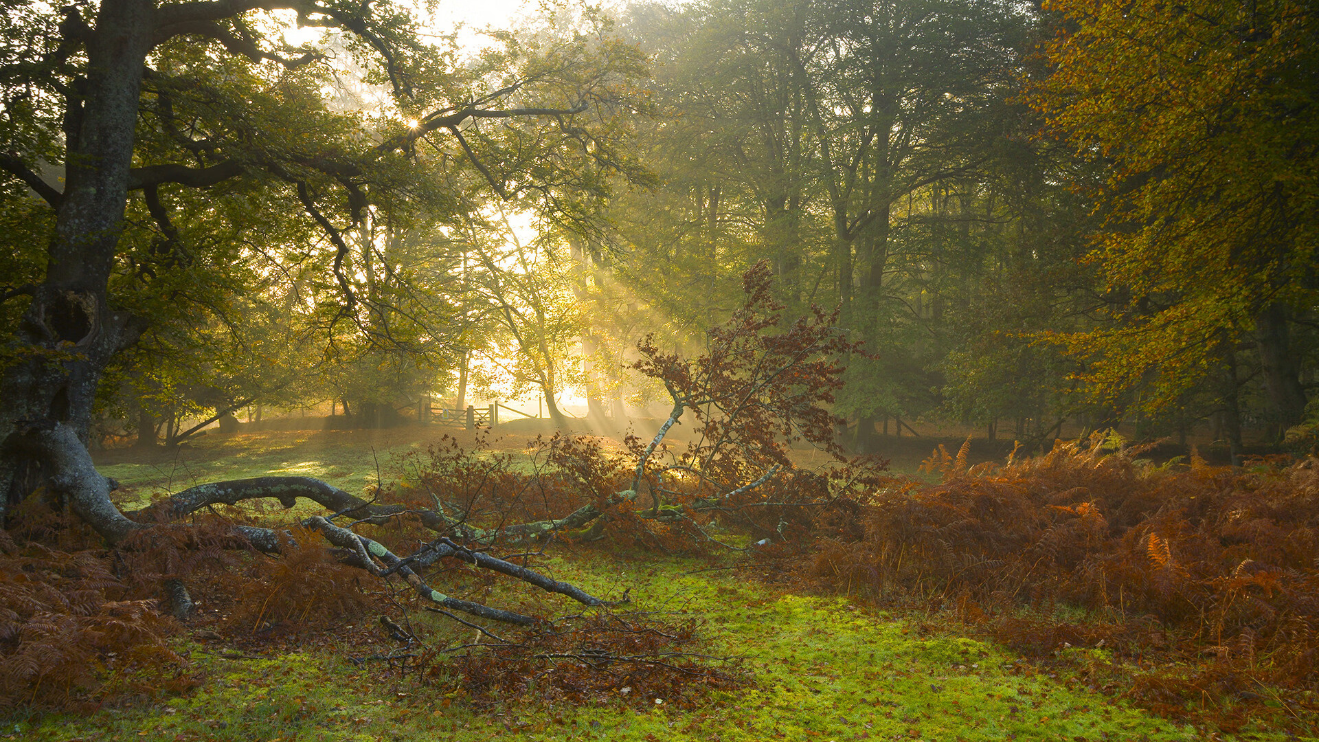 体育赛事环境管理标准执行情况调研，体育赛事管理制度